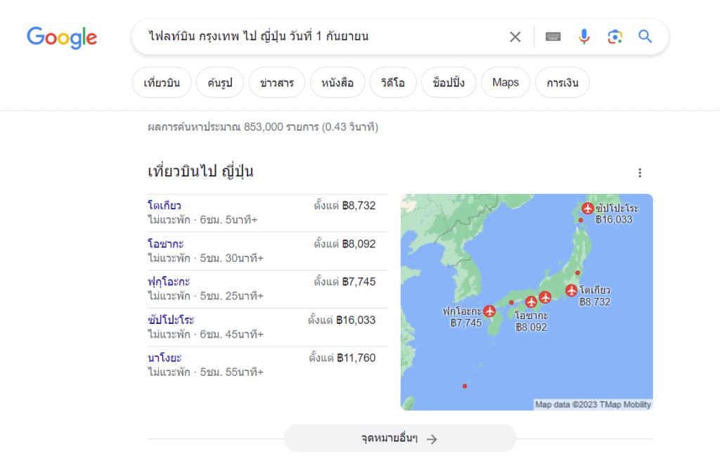 google flight